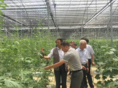 袁文先將軍深入三明調研，為扶貧改革與種植技術發展注入新動能